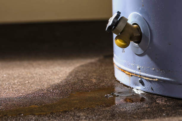 Best Water damage restoration company  in Borrego Springs, CA