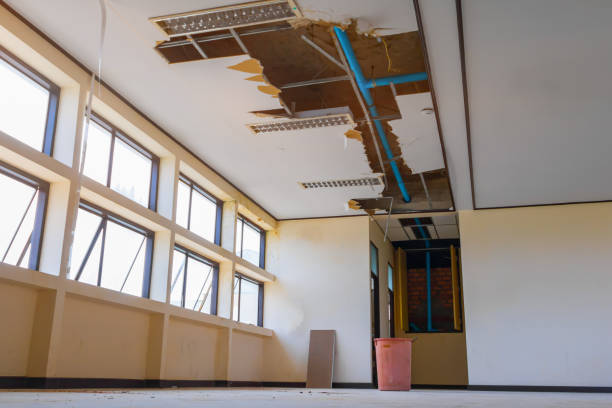 Best Commercial water damage restoration  in Borrego Springs, CA