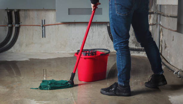 Best Water damage restoration experts  in Borrego Springs, CA