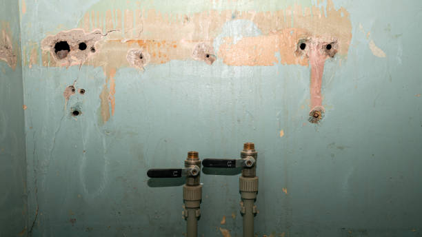 Best Flood damage cleanup  in Borrego Springs, CA