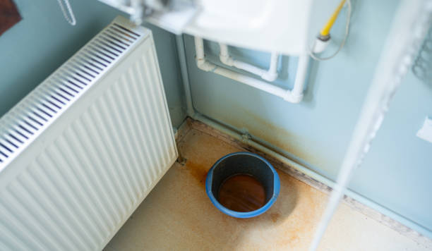 Best Mold removal after water damage  in Borrego Springs, CA
