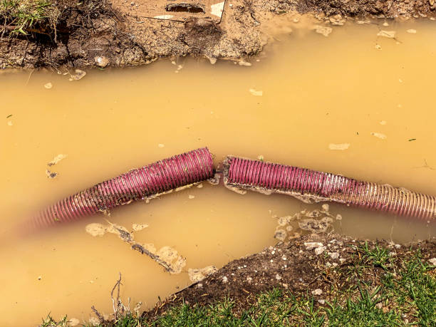 Best Residential water damage restoration  in Borrego Springs, CA